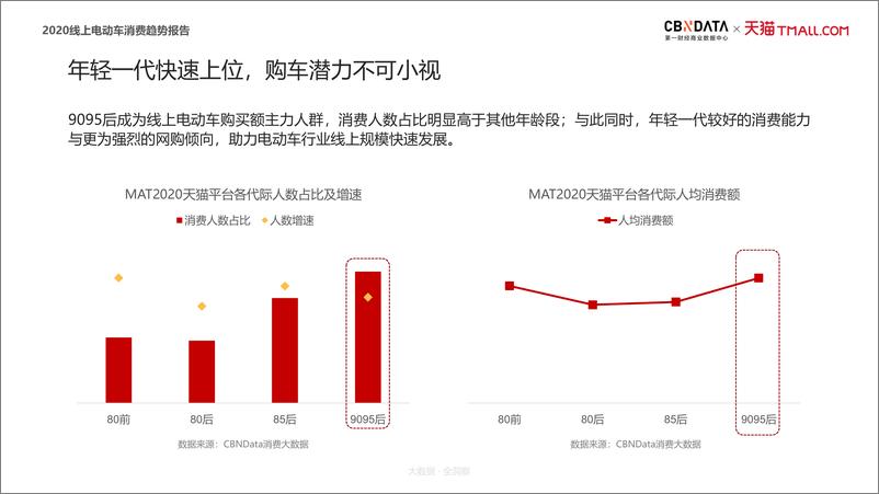 《2020线上电动车消费趋势报告》 - 第8页预览图