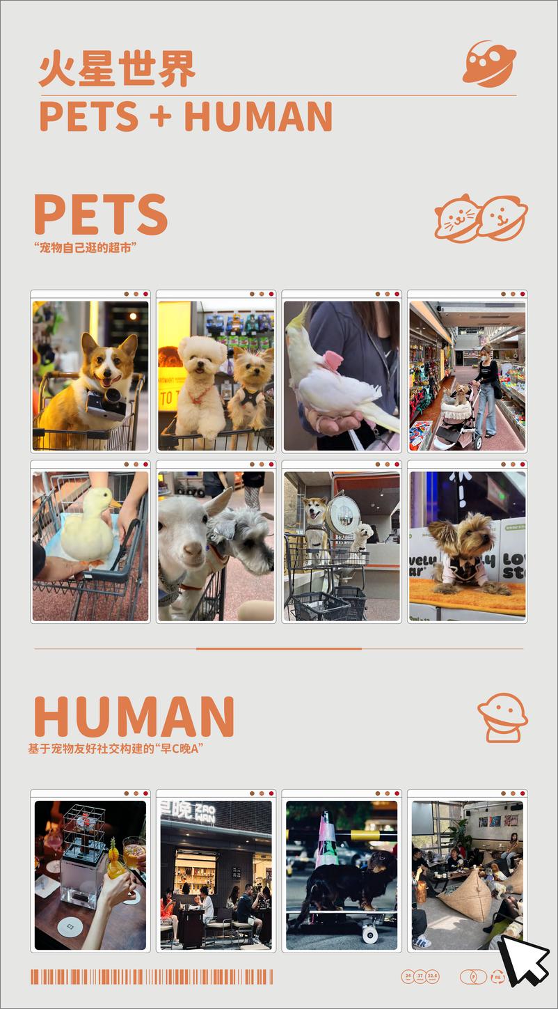 《MARSMART火星宠物超市品牌手册【品牌定位】【品牌手册】》 - 第4页预览图