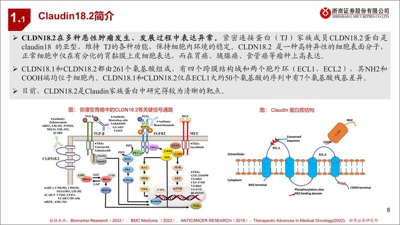 《浙商证券-创新药靶点系列研究之四：CLDN18.2：多技术开花，胃癌治疗潜力大》 - 第6页预览图