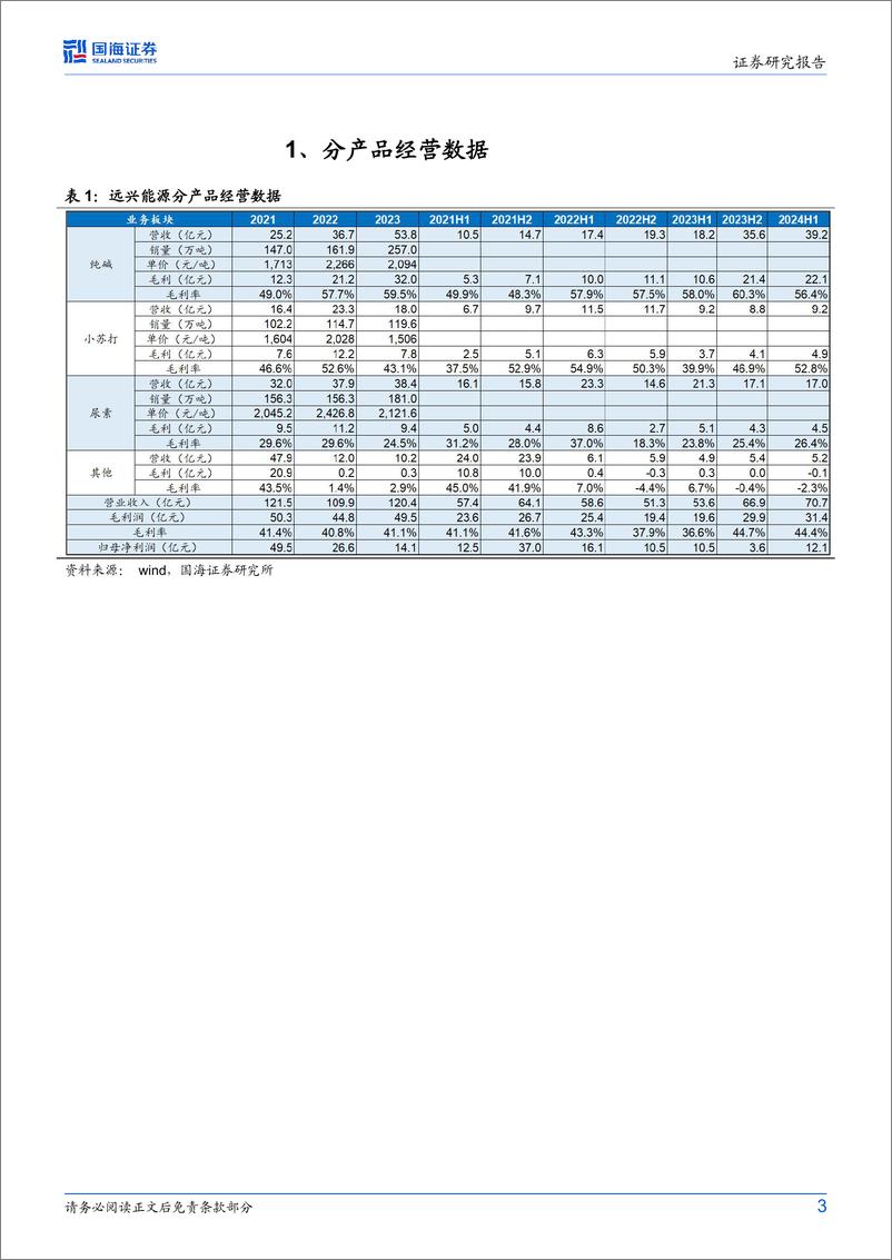 《远兴能源(000683)2024年中报点评：2024Q2业绩环比增长12%25，阿拉善二期建设进行中-240731-国海证券-10页》 - 第3页预览图