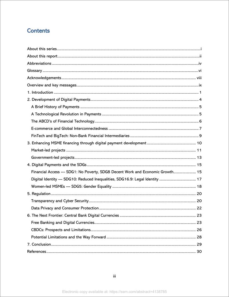 《中小微企业的融资渠道：数字支付的作用（英）-51页》 - 第6页预览图