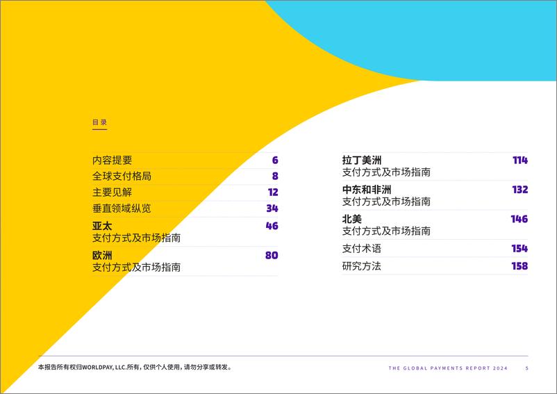 《2024全球支付报告（第九版）-160页》 - 第5页预览图