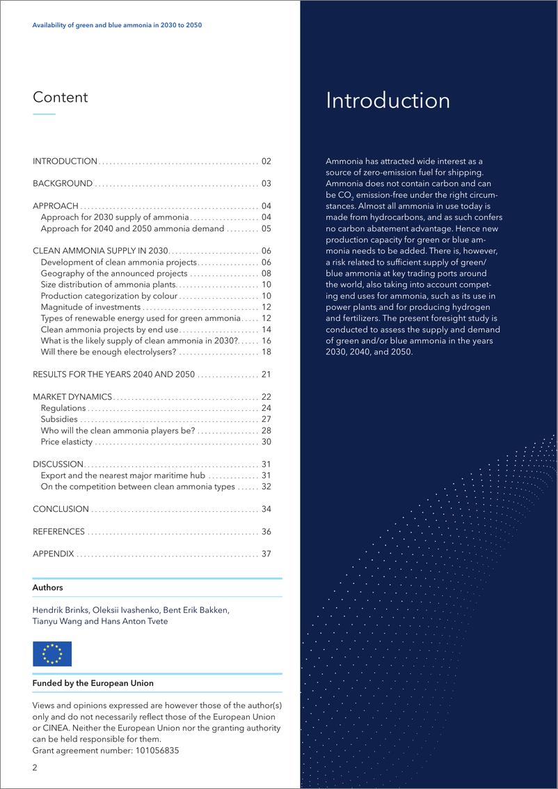 《DNV_2030-2050年绿色和蓝色氨的供应情况报告_英文版_》 - 第2页预览图