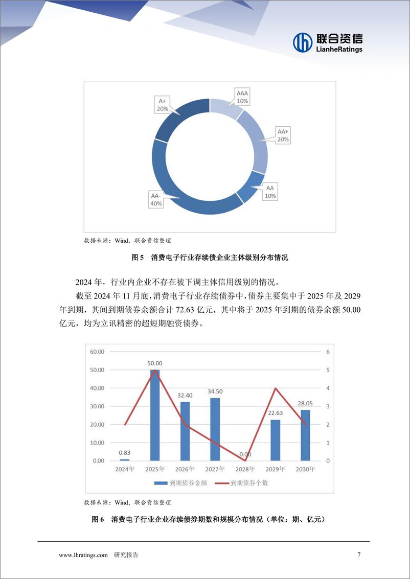 《消费电子行业2024年运行情况回顾及2025年展望-241230-联合资信-10页》 - 第8页预览图