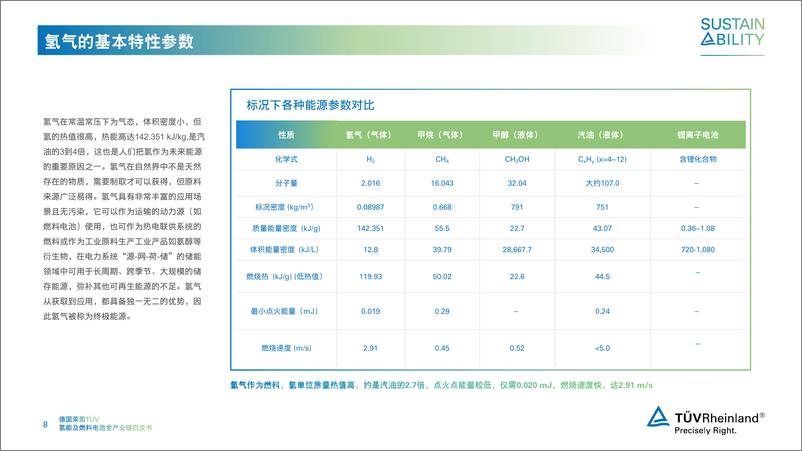 《2024氢能及燃料电池全产业链白皮书-德国莱茵TUV》 - 第8页预览图