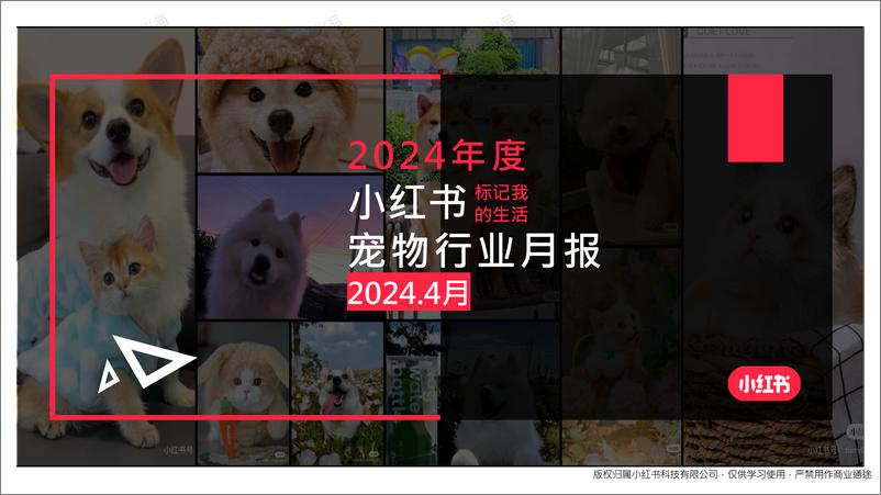 《小红书2024年宠物行业4月月报-22页》 - 第1页预览图