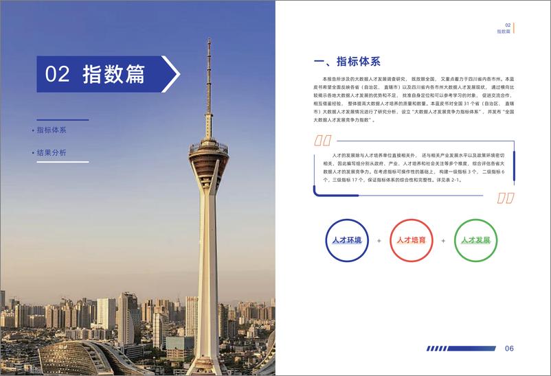 《四川大数据人才发展蓝皮书-43页》 - 第8页预览图