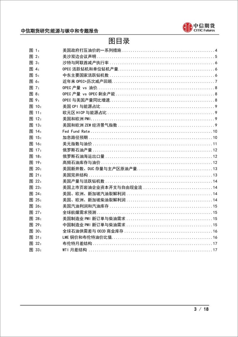 《能源与碳中和专题报告：拜登中东之行结束，对后市油价有何指引？-20220716-中信期货-18》 - 第4页预览图