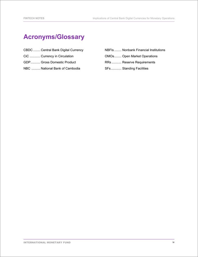 《IMF-央行数字货币对货币操作的影响（英）-2024-32页》 - 第6页预览图