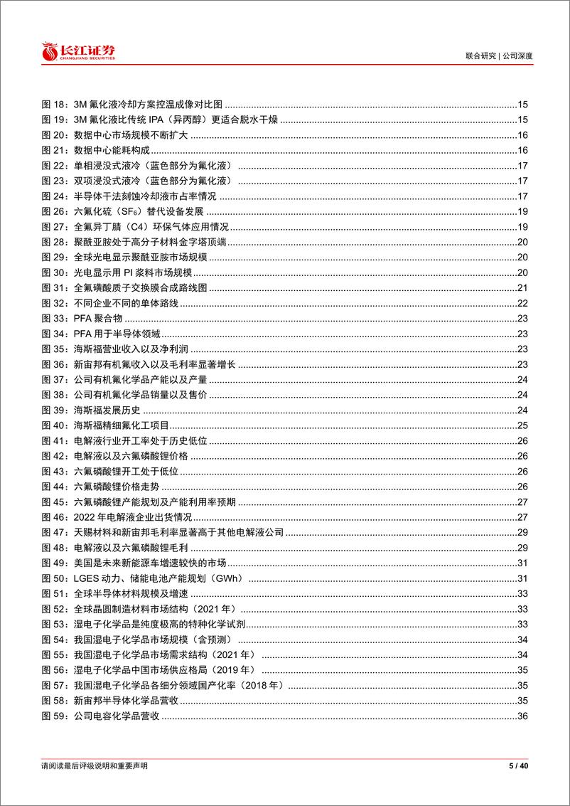 《长江证券-新宙邦-300037-厚积薄发，展望新机》 - 第5页预览图