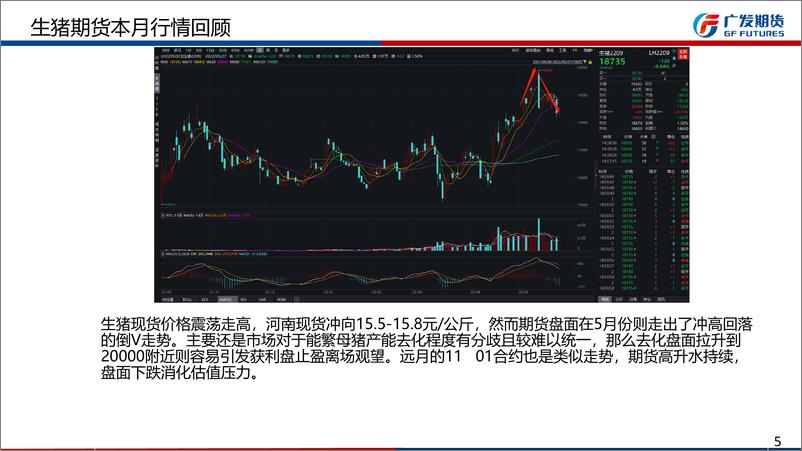 《生猪期货6月报：能繁母猪去产能不彻底，生猪价格难以v字上涨-20220529-广发期货-20页》 - 第6页预览图
