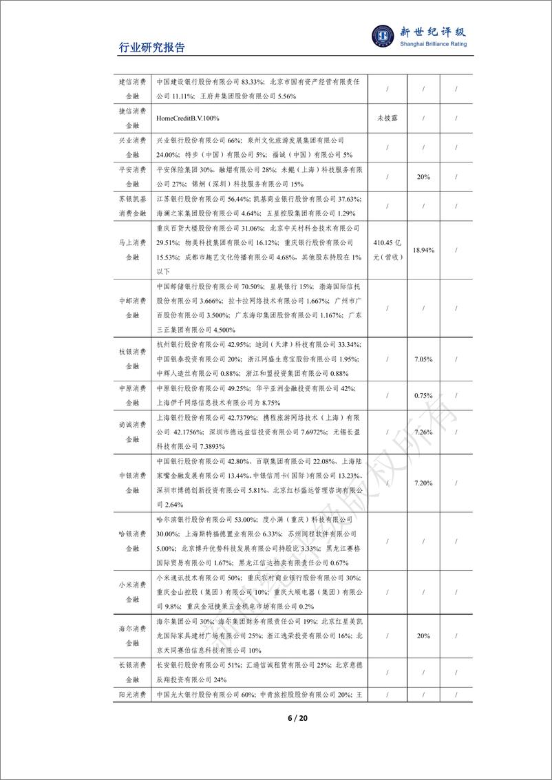 《消费金融行业2024年信用回顾与2025年展望》 - 第6页预览图