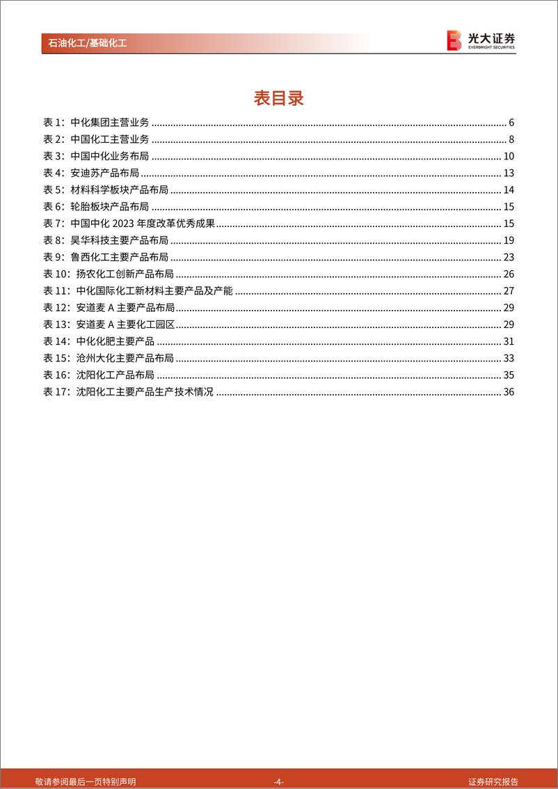 《石化化工行业国企跟踪报告之二：中国中化，“两化”强强联合，打造全球规模领先的综合性化工企业-241217-光大证券-39页》 - 第4页预览图