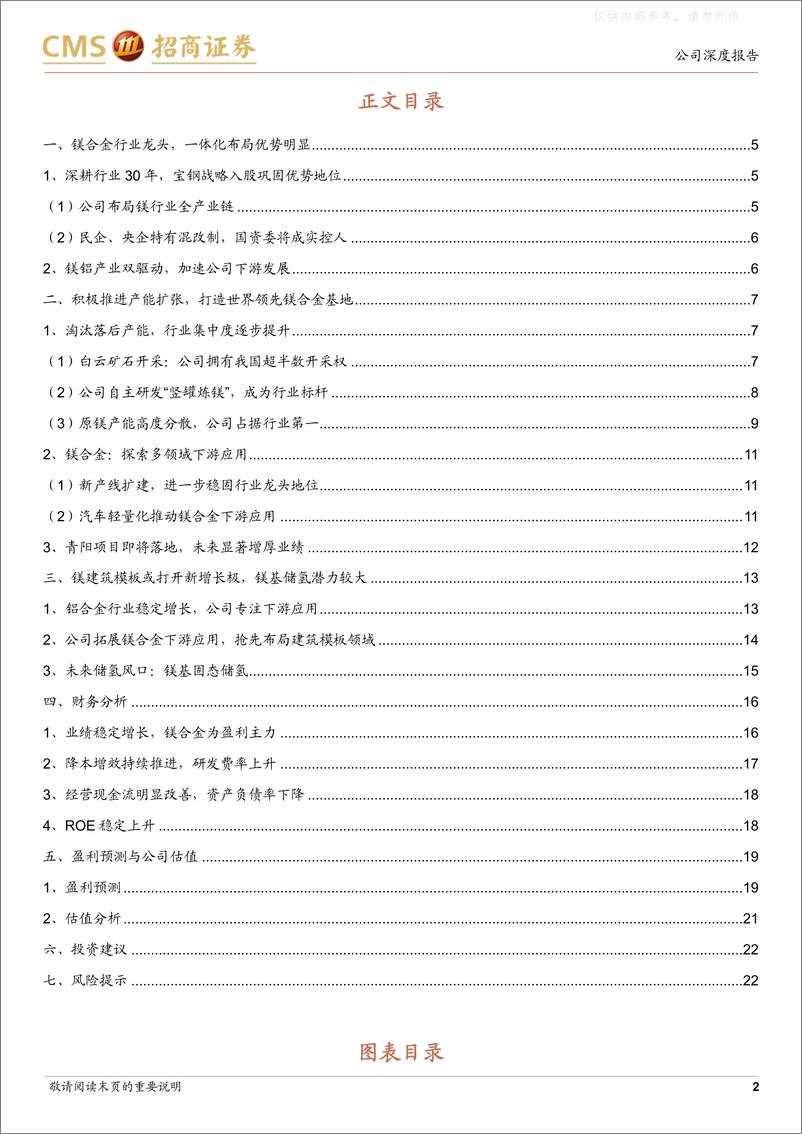 《招商证券-云海金属(002182)一体优势光芒耀，龙头镁合崭峥嵘-230511》 - 第2页预览图