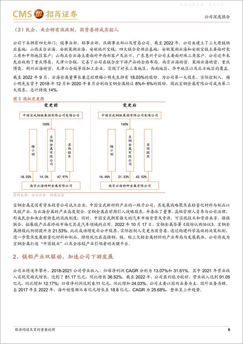 《招商证券-云海金属(002182)一体优势光芒耀，龙头镁合崭峥嵘-230511》 - 第6页预览图