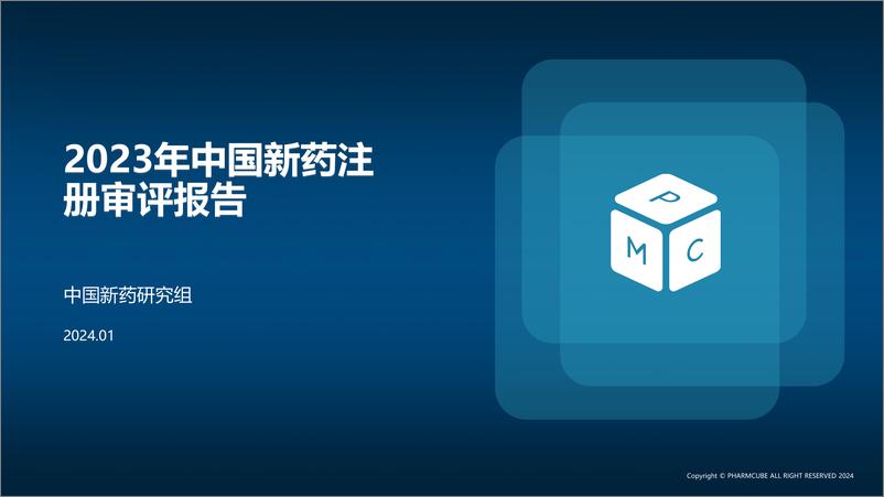 《2023中国新药注册审评报告》 - 第2页预览图