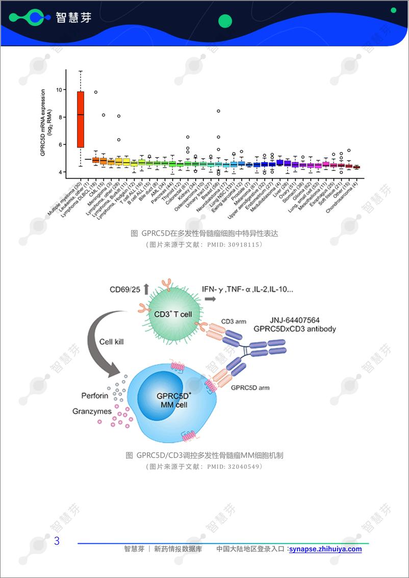 《智慧芽_2024年GPRC5D靶点专利调研报告》 - 第6页预览图