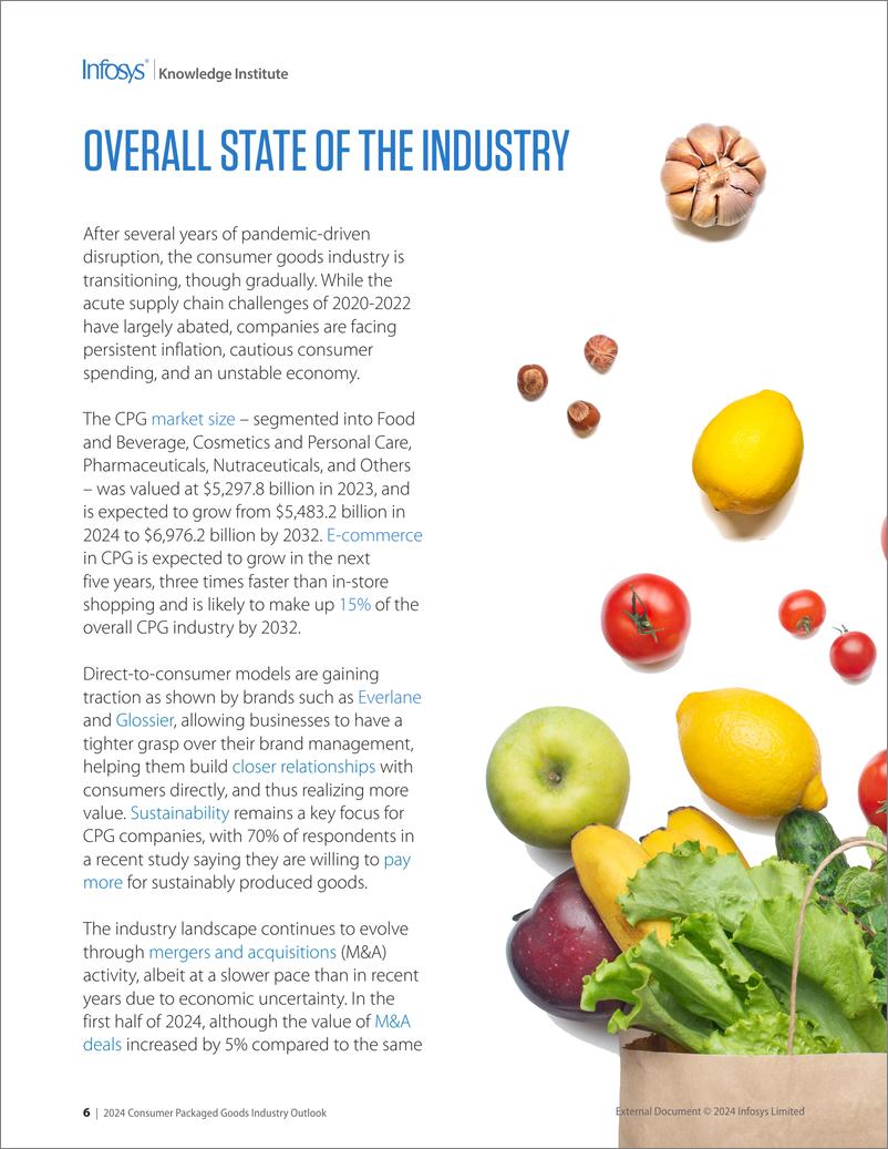 《印孚瑟斯_Infosys__2024年消费品包装行业展望报告_英文版_》 - 第6页预览图