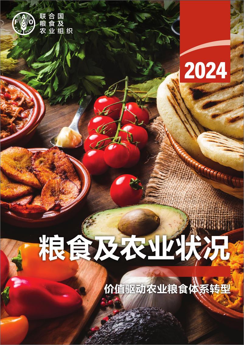 《2024年粮食及农业状况》中-172页 - 第1页预览图