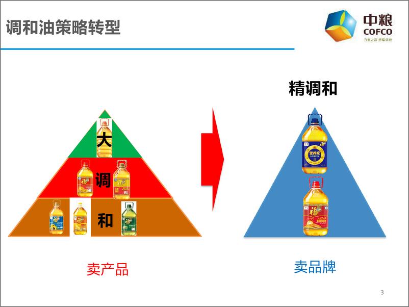 《2016--2017年中粮公关传播Roadmap策略方案（福临门调和油）》 - 第3页预览图