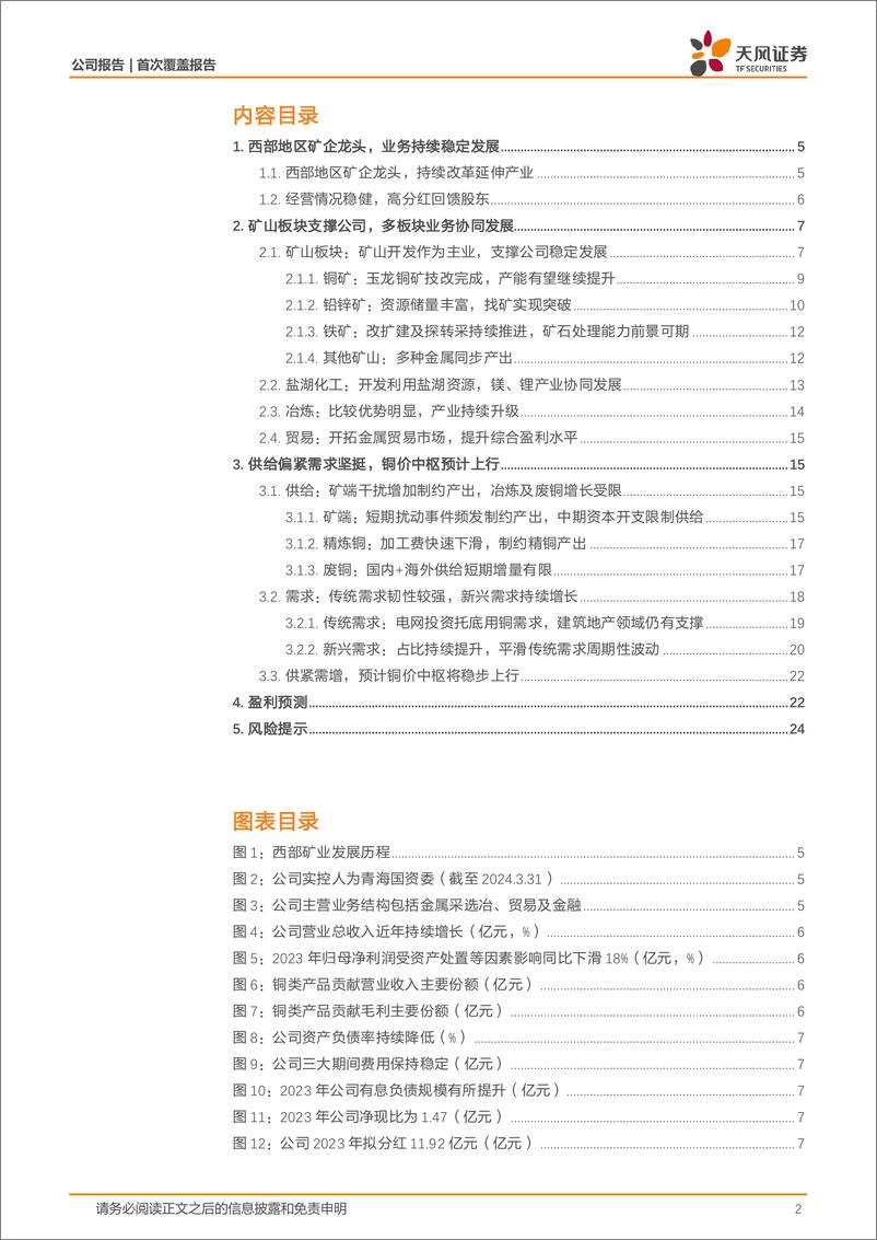 《天风证券-西部矿业-601168-西部地区矿企龙头，多板块业务协同增长》 - 第2页预览图