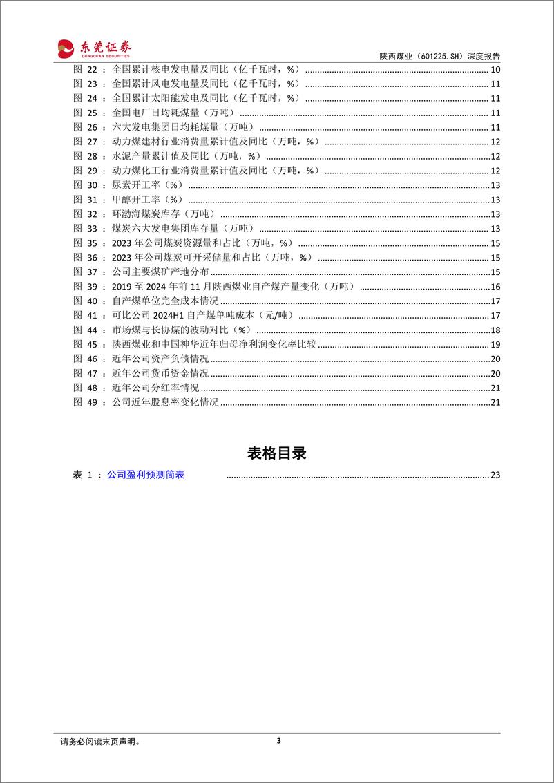 《陕西煤业(601225)深度报告：煤炭龙头布局煤电联营，高分红凸显投资价值-241230-东莞证券-24页》 - 第3页预览图