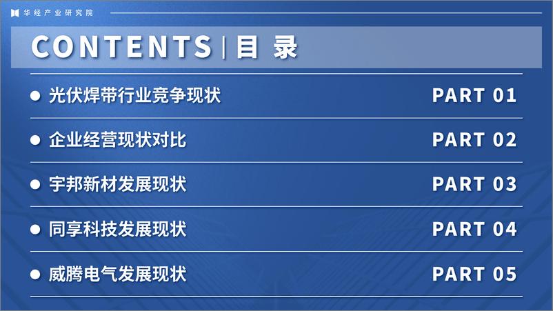 《2024年中国光伏焊带行业企业洞析报告-华经产业研究院-32页》 - 第2页预览图