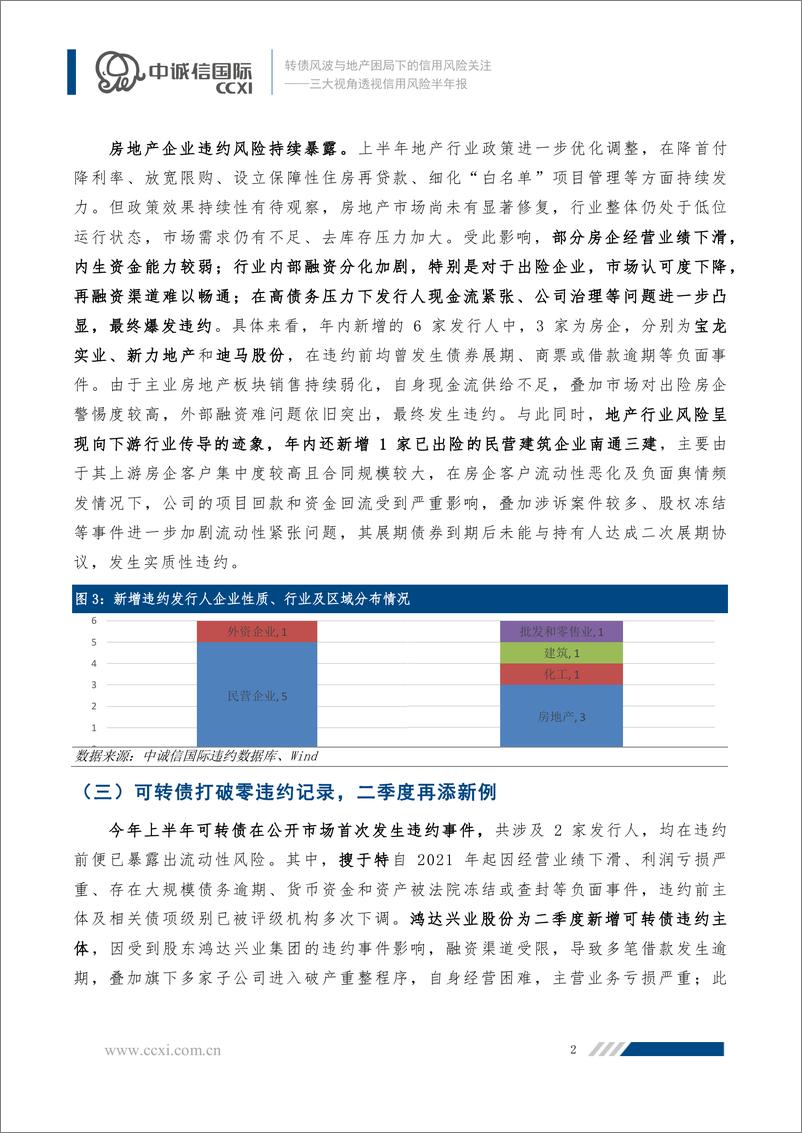 《转债风波与地产困局下的信用风险关注——三大视角透视信用风险半年报-10页》 - 第2页预览图