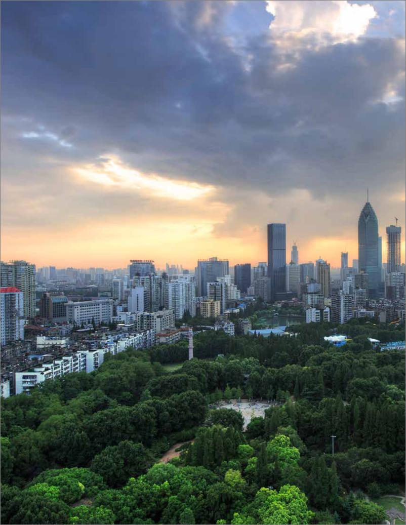 《武汉市交通碳排放达峰路径研究-86页》 - 第3页预览图