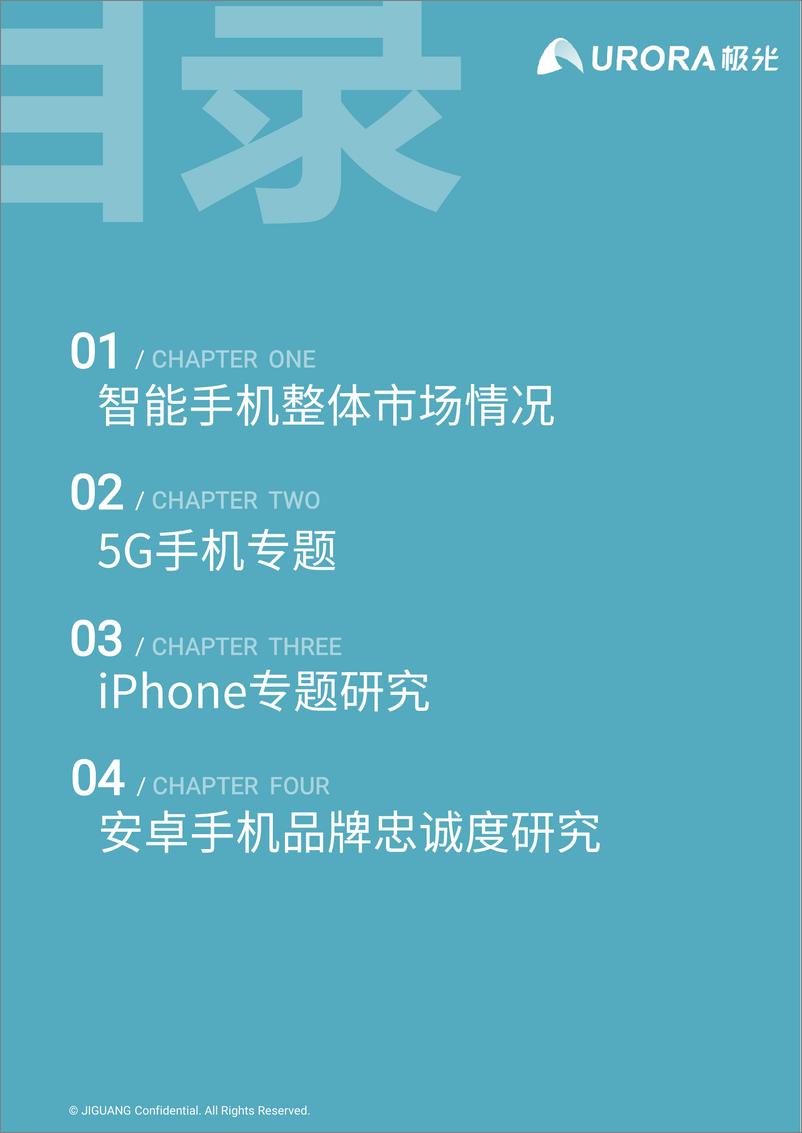 《2019年Q4智能手机行业季度数据研究报告》 - 第3页预览图