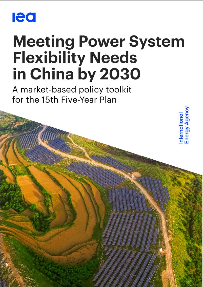 《国际能源署-到2030年满足中国电力系统灵活性需求（英）-2024-99页》 - 第1页预览图