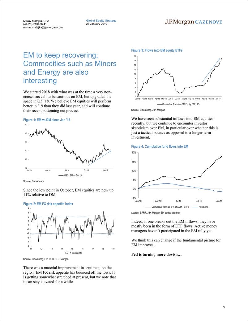 《J.P. 摩根-新兴市场-股票策略-新兴市场股票策略：看好矿业、钢铁等大宗商品及材料与能源行业-2019.1.28-29页》 - 第4页预览图