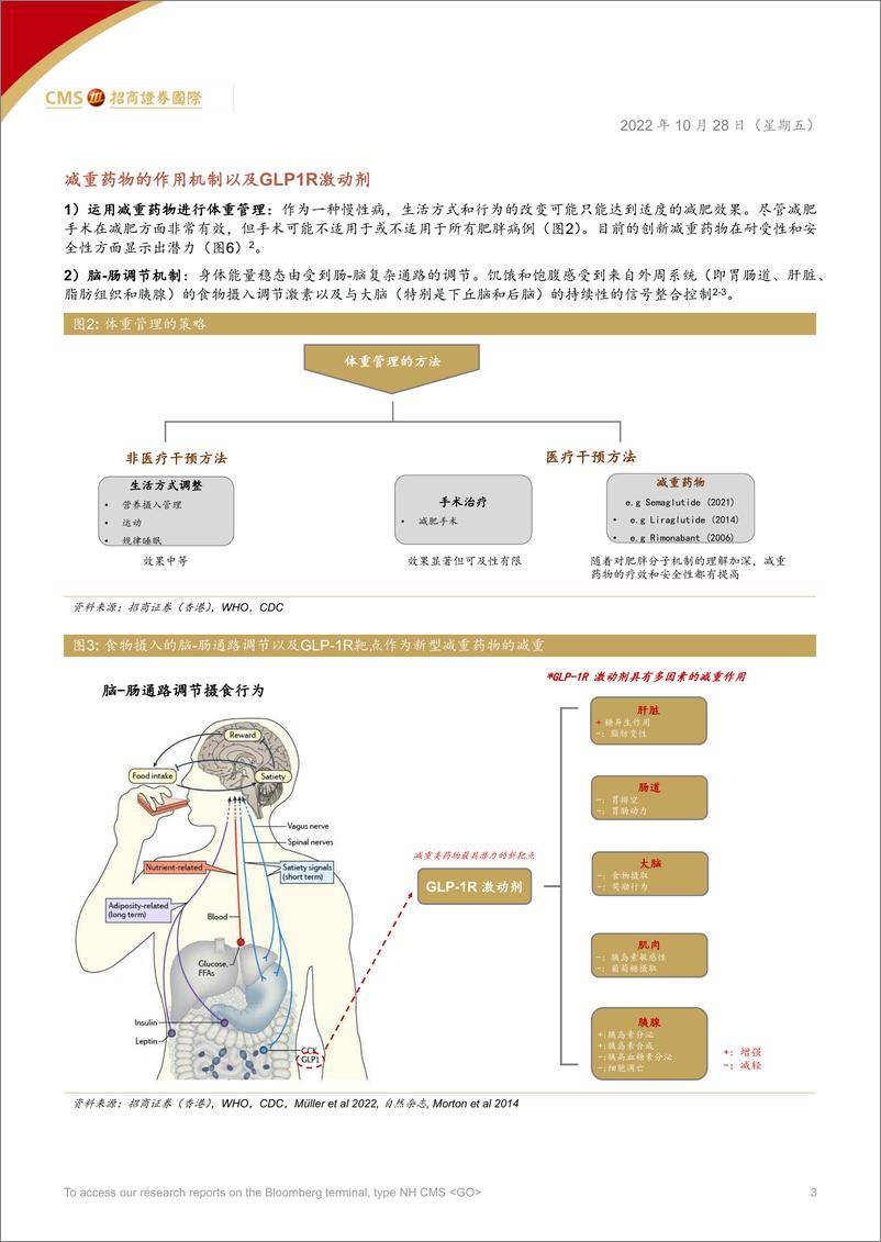 《中国医药、医疗行业研发洞察002期：减重药物概览-20221028-招商证券（香港）-15页》 - 第4页预览图