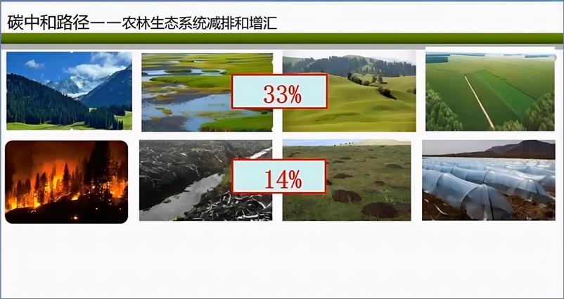 《中国_碳中和_目标背景下高质量林业碳汇项目开发的路径选择-北京林业大学武曙红》 - 第2页预览图