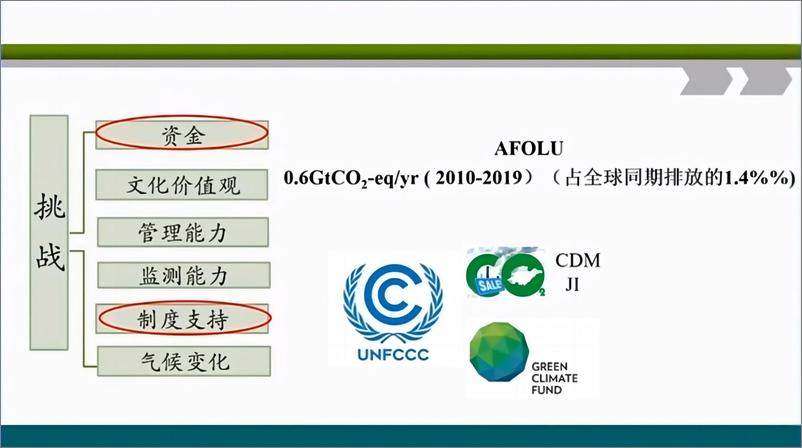 《中国_碳中和_目标背景下高质量林业碳汇项目开发的路径选择-北京林业大学武曙红》 - 第5页预览图