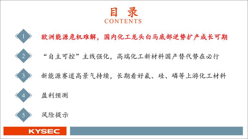 《化工行业2023年度投资策略：白马复苏与国产替代共振，化工现代化迎来新纪元-20221114-开源证券-65页》 - 第4页预览图