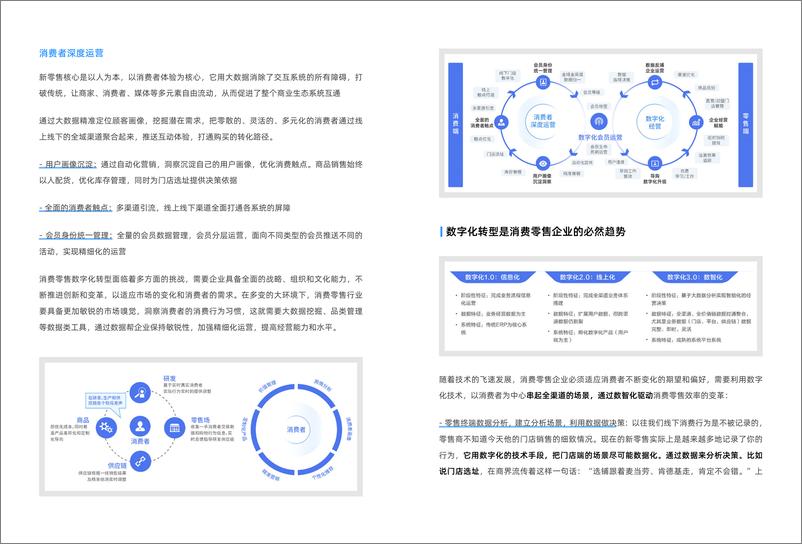 《2024消费零售行业数据建设白皮书-帆软》 - 第4页预览图