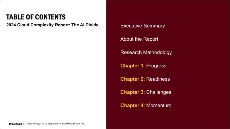 《2024年云复杂性报告：人工智能鸿沟（英）-44页》 - 第3页预览图