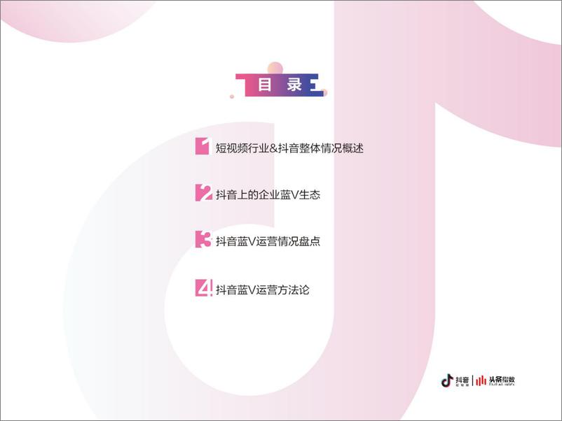 《抖音企业蓝V白皮书》 - 第4页预览图