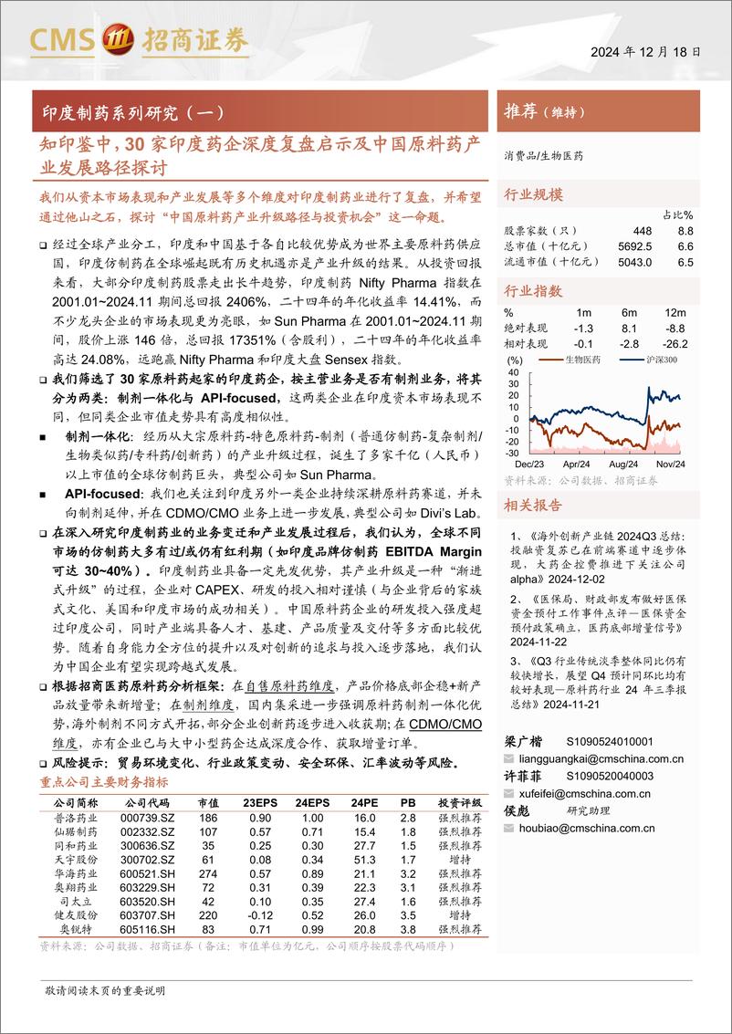 《生物医药行业印度制药系列研究(一)：知印鉴中，30家印度药企深度复盘启示及中国原料药产业发展路径探讨-招商证券-241218-25页》 - 第1页预览图