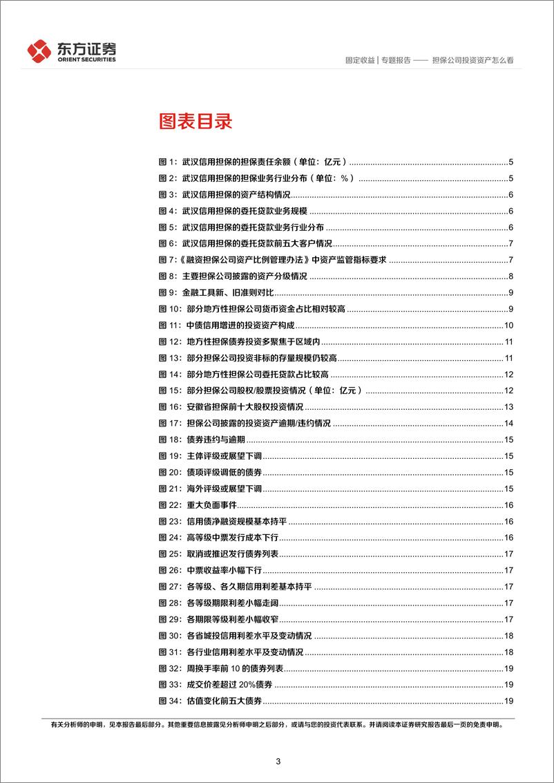 《固定收益专题报告：担保公司投资资产怎么看-20220421-东方证券-25页》 - 第4页预览图