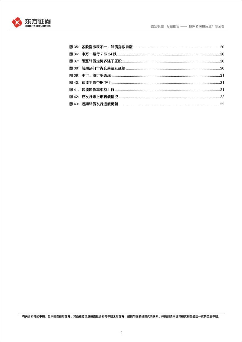 《固定收益专题报告：担保公司投资资产怎么看-20220421-东方证券-25页》 - 第5页预览图