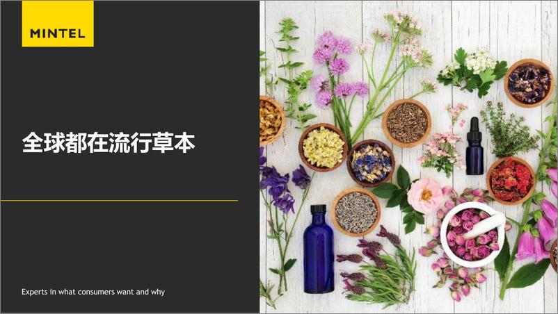 《英敏特_趋势洞察：全球都在流行草本-31页》 - 第1页预览图