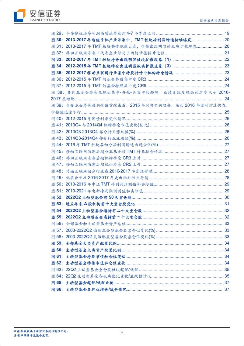 《浪潮激涌：产业浪潮中的投资范式、节奏与启示-20220723-安信证券-42页》 - 第4页预览图