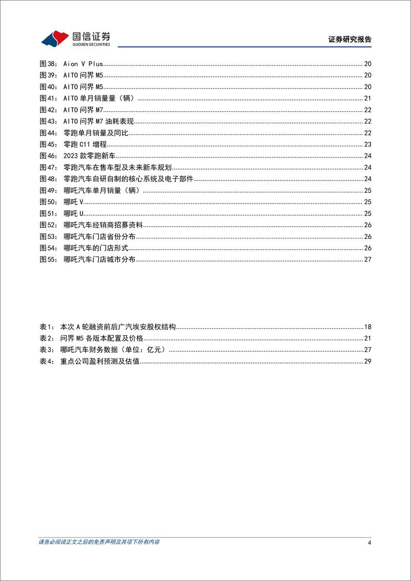 《汽车行业造车新势力系列二十二：5月销量整体同环比提升，看好二季度需求复苏-20230605-国信证券-32页》 - 第5页预览图