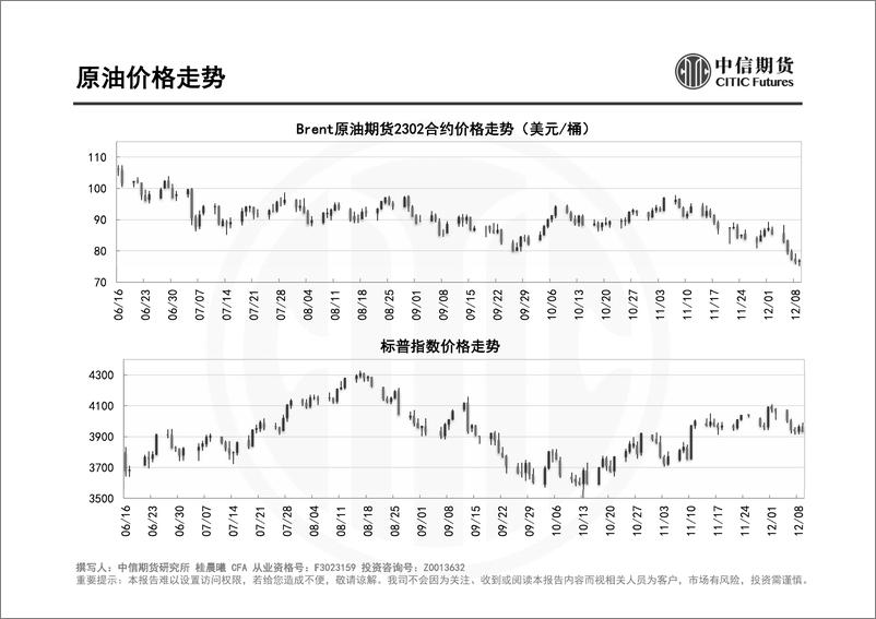 《中沙关系迈入新阶段，俄罗斯考虑反制欧盟-20221211-中信期货-56页》 - 第4页预览图