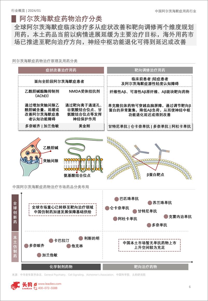 《头豹研究院-2024年中国阿尔茨海默症用药行业概览：本土仿制药崛起，阿尔茨海默症用药市场迎来新机遇》 - 第6页预览图