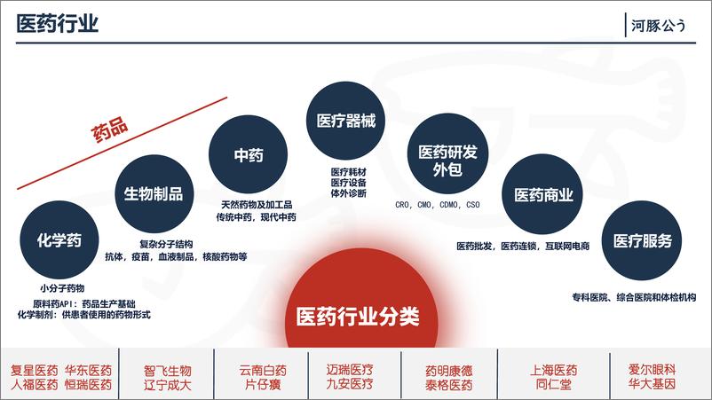 《河豚公_2024医药行业观察报告-12页》 - 第2页预览图