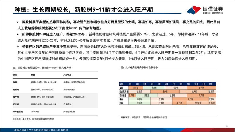 《天然橡胶行业专题：长期趋势明确，产区机会成本支撑上方空间-250106-国信证券-61页》 - 第6页预览图