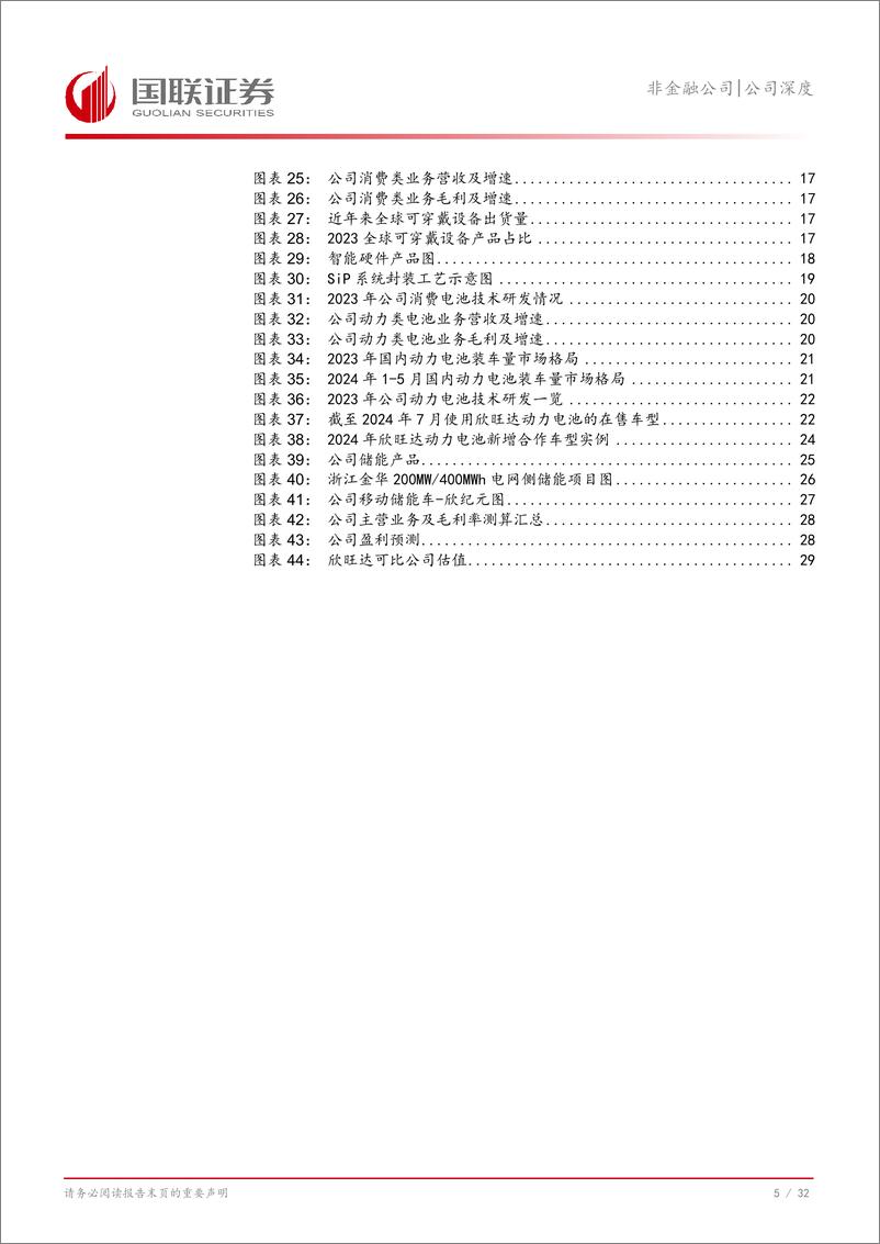 《欣旺达(300207)消费业务表现亮眼，看好动储市场潜力-240822-国联证券-33页》 - 第6页预览图